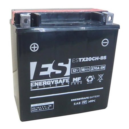 BATERIA ENERGYSAFE Peugeot Metropolis Euro3 400 2013 - 2015 BATERIA ENERGYSAFE Peugeot Metropolis Euro3 400 2013 - 2015